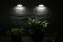 Load image into Gallery viewer, LED SOLAR POWER WATERPROOF LED SENSOR SOLAR LAMP